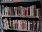 books on metal shelves at the library